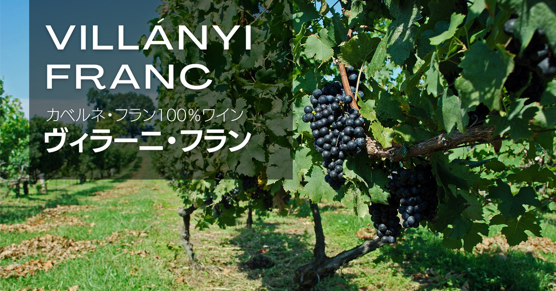 ヴィラーニ・フラン
